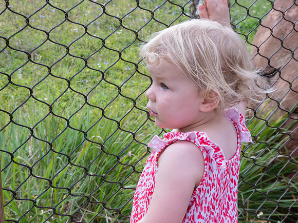 Disneyworld0325-019