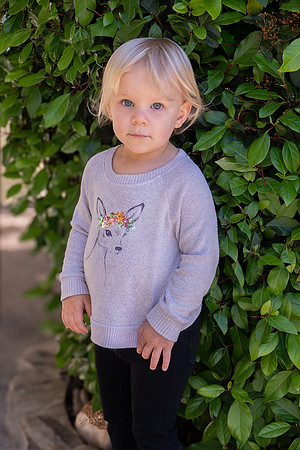 Avery 040225-02