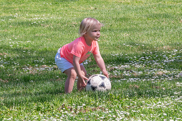 Avery 040925-19