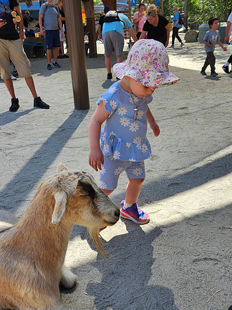 Disneyworld0325-221