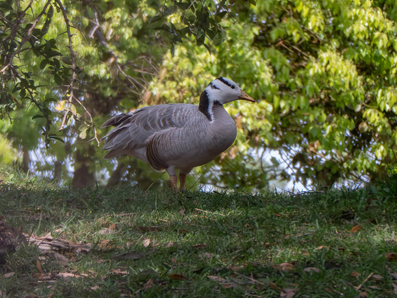Disneyworld0325-197