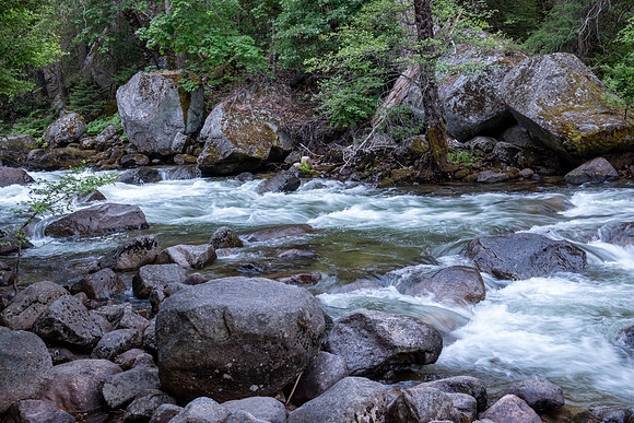 Yosemite0624-157