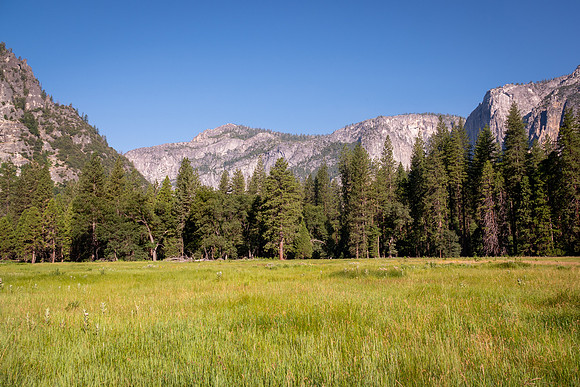 Yosemite0624-021