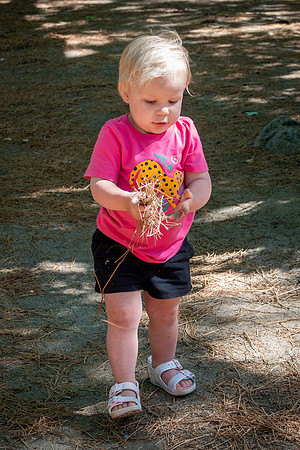 Yosemite0624-108