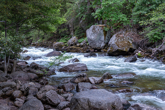 Yosemite0624-160