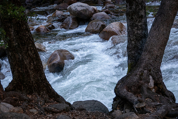 Yosemite0624-145