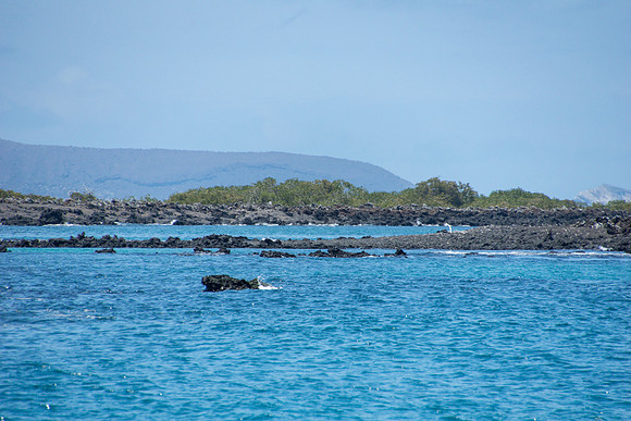 Bay around Puerto Villamil