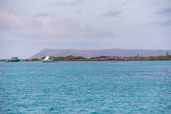 Bay around Puerto Villamil
