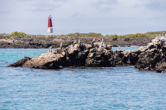 Bay around Puerto Villamil