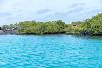 Bay around Puerto Villamil