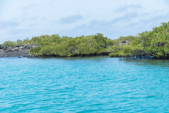 Bay around Puerto Villamil
