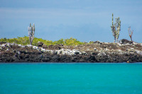 Bay around Puerto Villamil