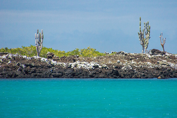 Bay around Puerto Villamil