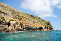 Isla Tortuga