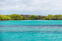Isabela Island