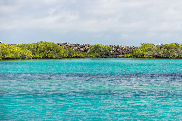 Bay around Puerto Villamil