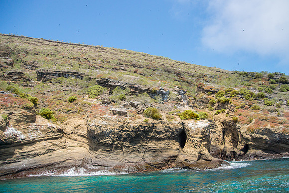 Isla Tortuga