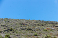 Isla Tortuga