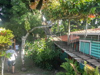 Treehouse we stopped at during our bike ride.