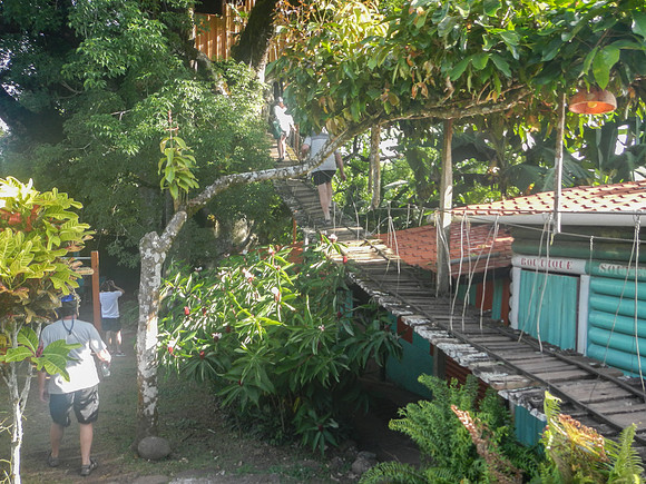 Treehouse we stopped at during our bike ride.