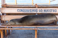 San Cristobal Island