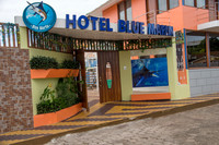 The  Hotel Blue Marlin