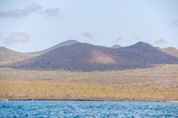 Floreana Island
