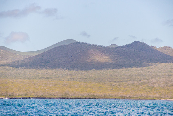 Floreana Island