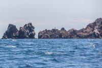 Floreana Island