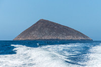 Floreana Island