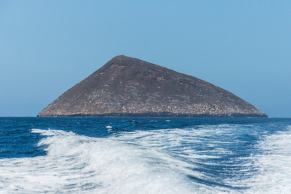 Floreana Island