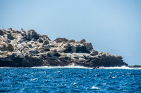 Floreana Island