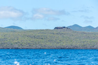 Floreana Island
