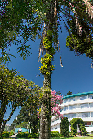 Hotel Quito