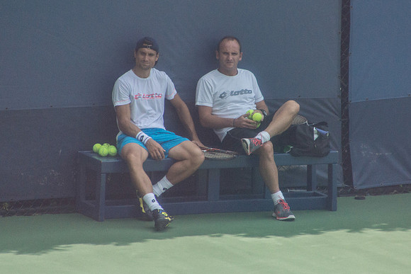 David Ferrer