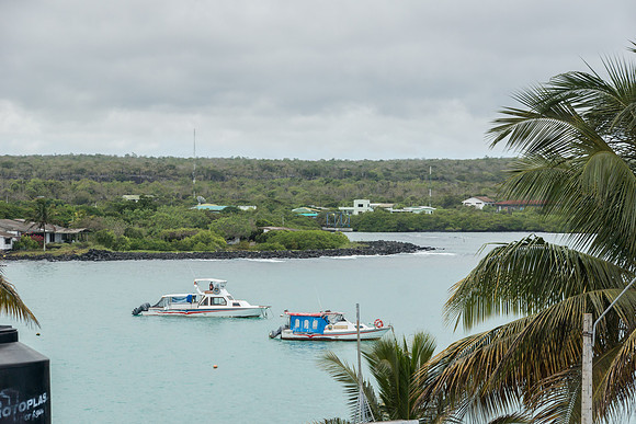 Puerto Ayora