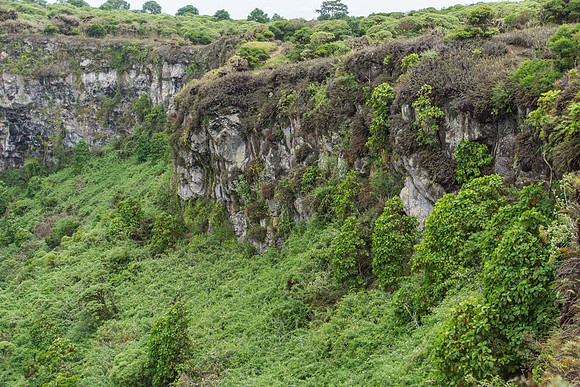 Collapsed Craters