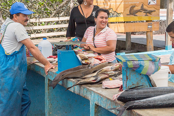 Puerto Ayora Fish Market