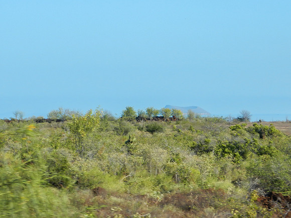 On the road to Baltra