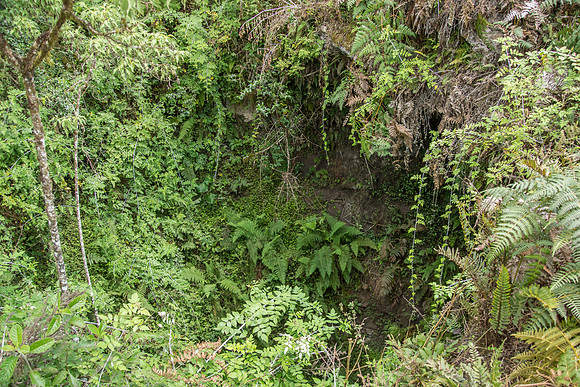 Collapsed Craters