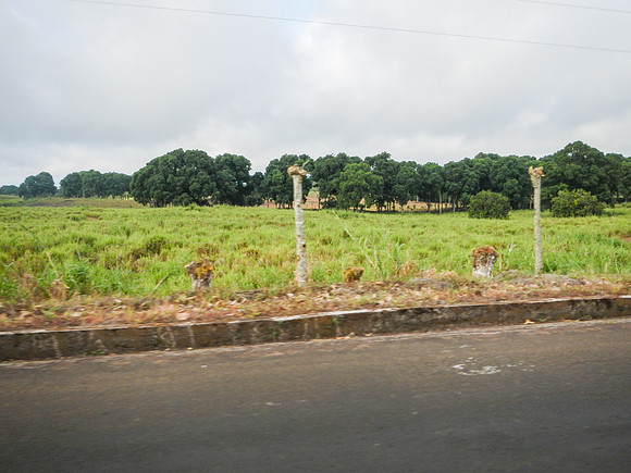 On the road to Baltra