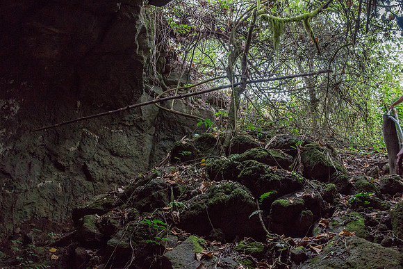 Lava Tube