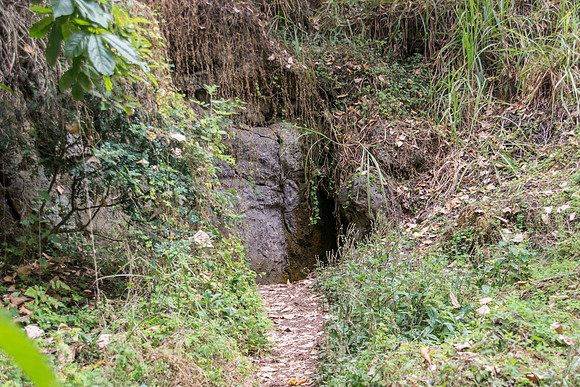 Lava Tube