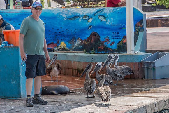 Puerto Ayora Fish Market