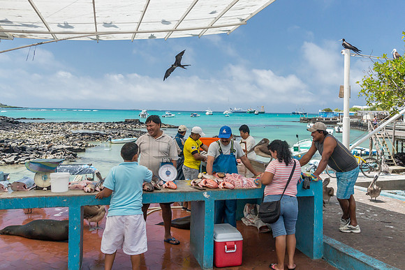 Puerto Ayora Fish Market