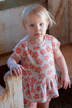 Avery 091424-28