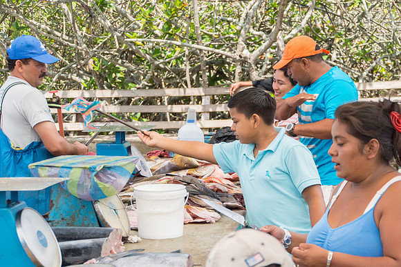 Puerto Ayora Fish Market