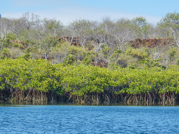 On the ferry between Santa Cruz and Baltra