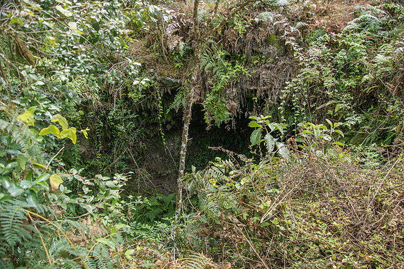 Collapsed Craters