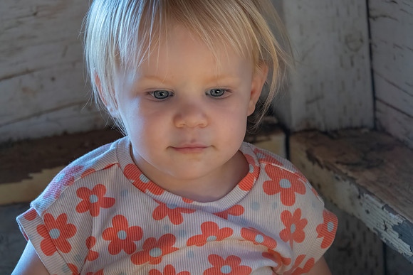 Avery 091424-22